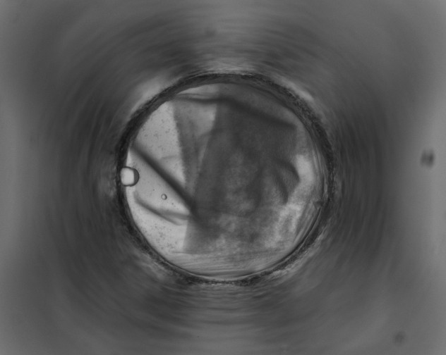 X0000102011306200808081715