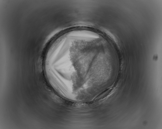 X0000102011310200808081715