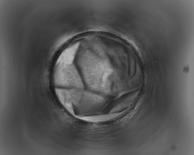 X0000102011311200808081715