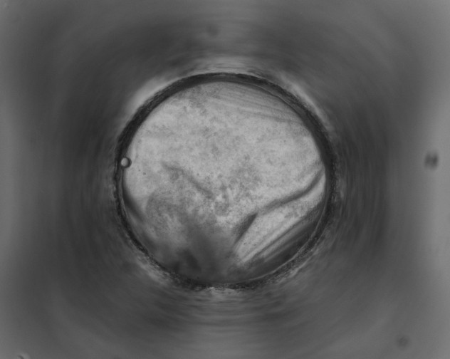 X0000102011312200808081715