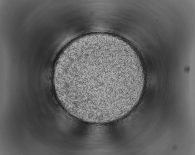 X0000102011314200808081715