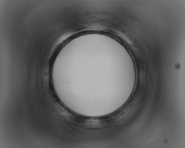 X0000102011315200808081715