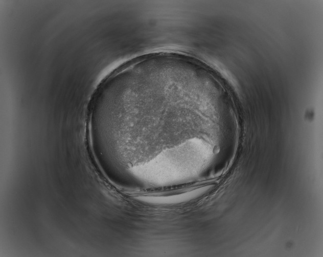 X0000102011316200808081715