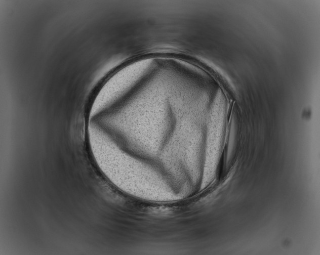 X0000102011317200808081715