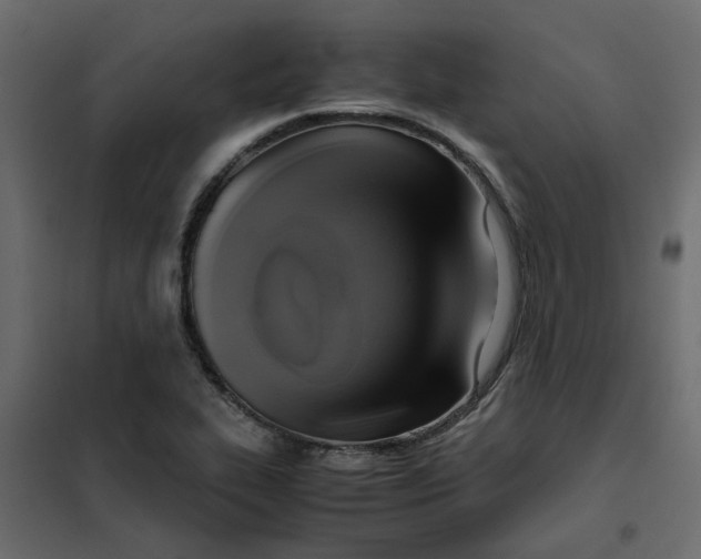 X0000102011319200808081715