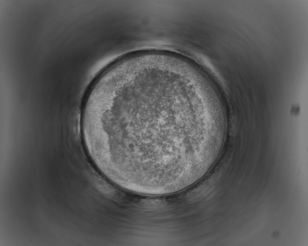 X0000102011320200808081715