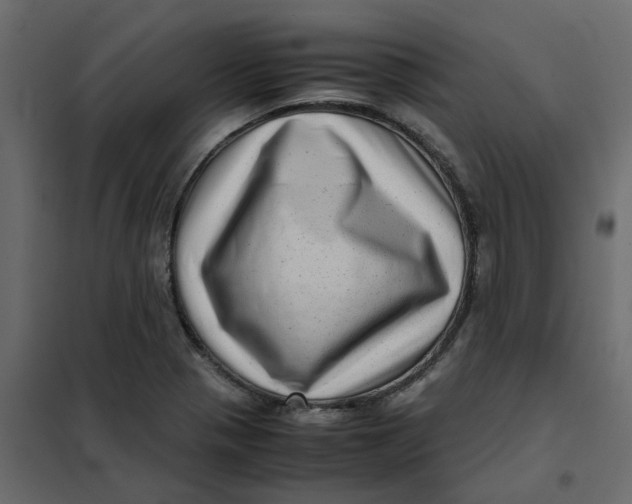 X0000102011321200808081715