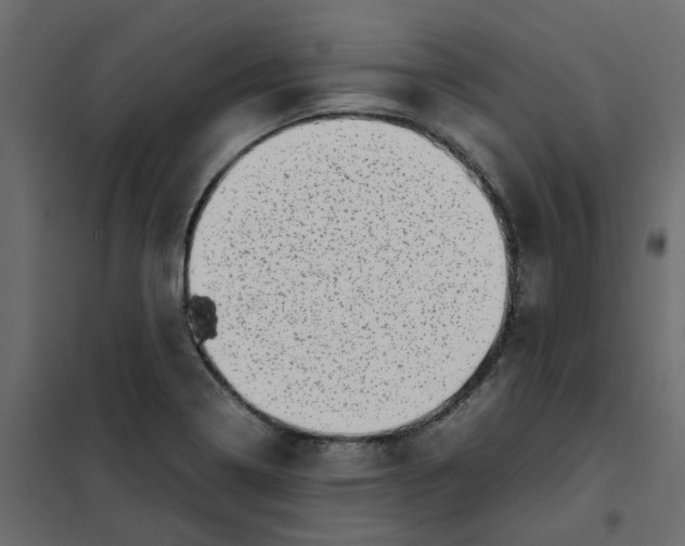 X0000102011322200808081715