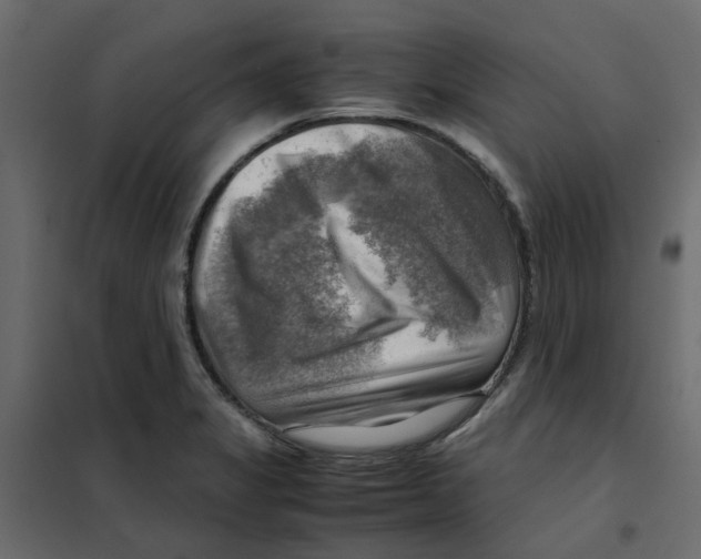 X0000102011325200808081715