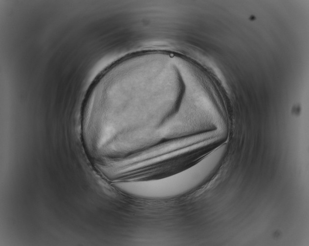 X0000102011328200808081715