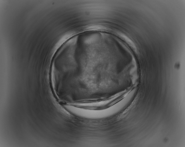 X0000102011330200808081715