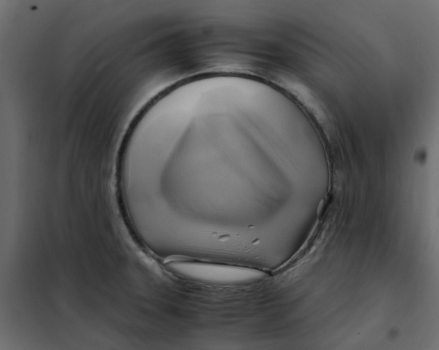 X0000102011331200808081715