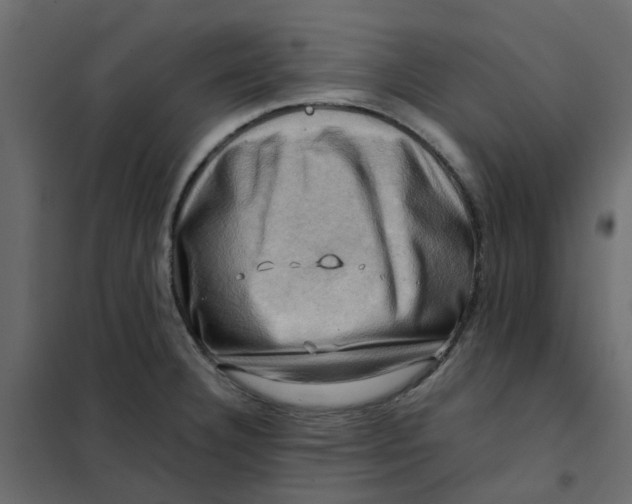 X0000102011332200808081715