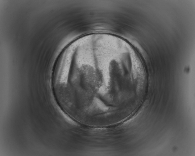 X0000102011333200808081715