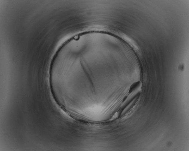 X0000102011334200808081715