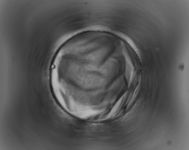 X0000102011335200808081715