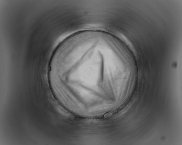 X0000102011336200808081715