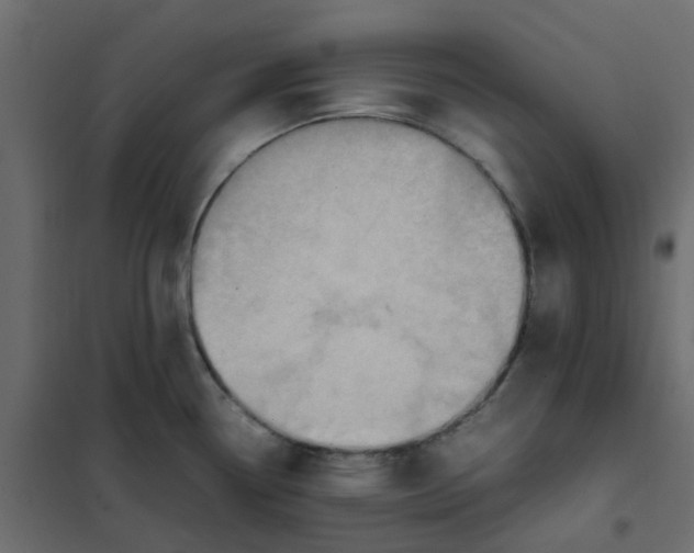 X0000102011338200808081715