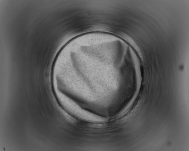 X0000102011339200808081715