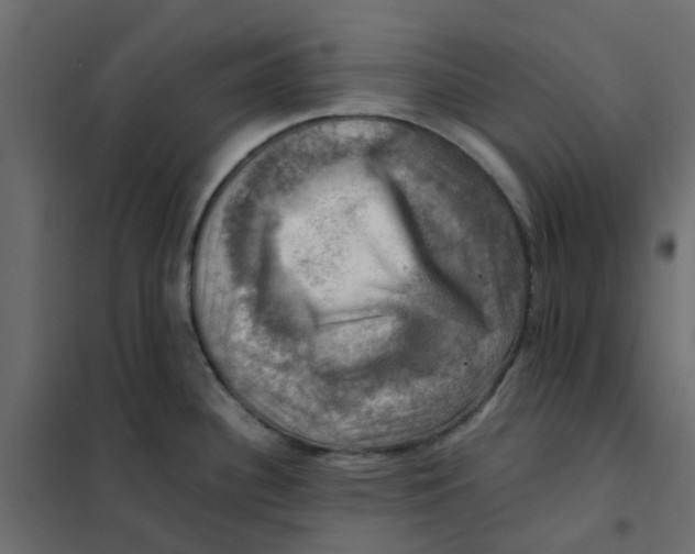 X0000102011340200808081715