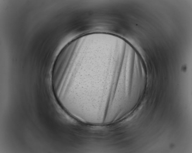 X0000102011341200808081715