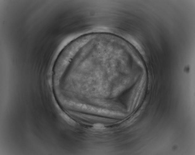 X0000102011342200808081715