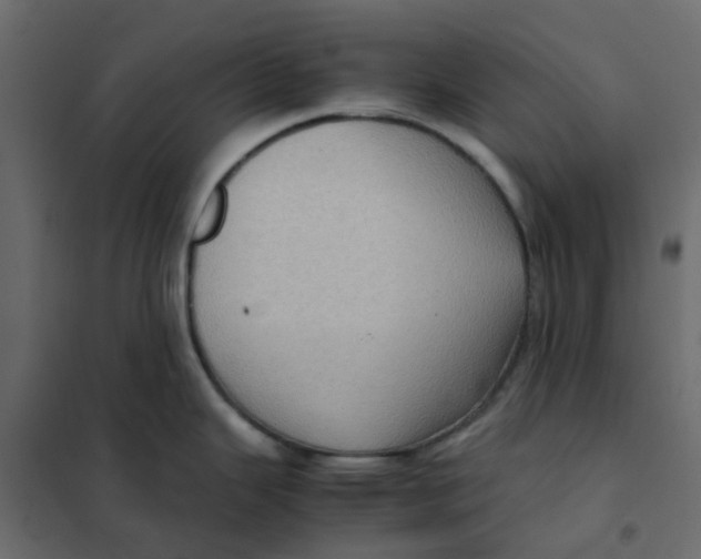 X0000102011343200808081715