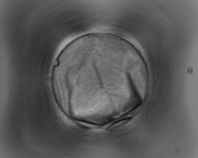 X0000102011344200808081715