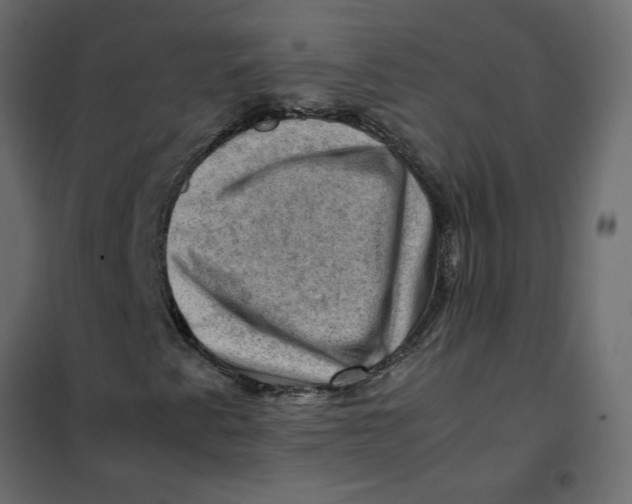 X0000102011345200808081714