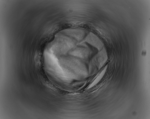 X0000102011346200808081714