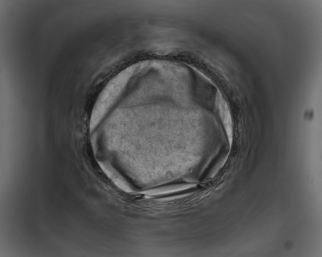 X0000102011349200808081714