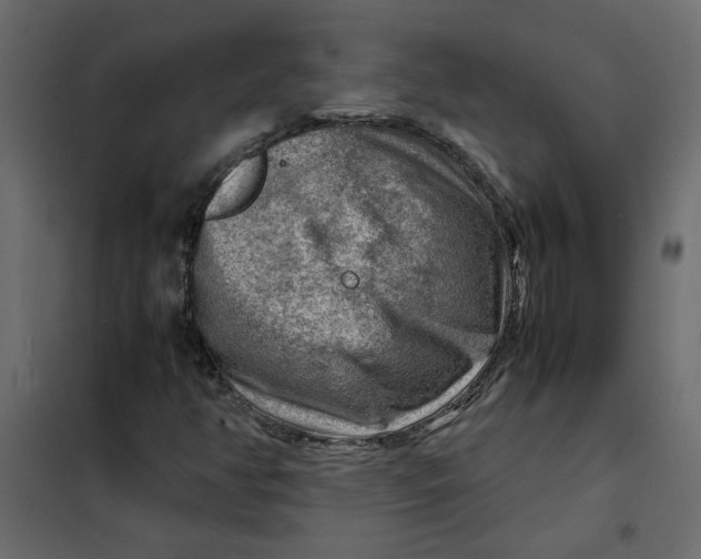 X0000102011350200808081714