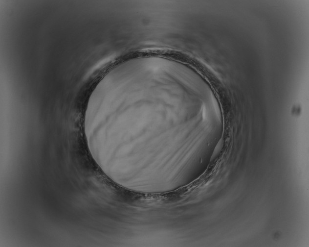 X0000102011351200808081714