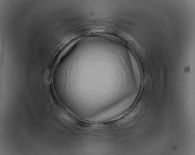 X0000102011353200808081714