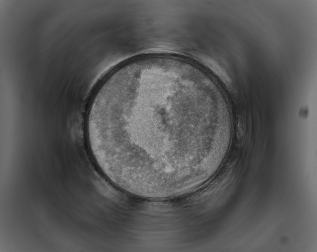 X0000102011356200808081714