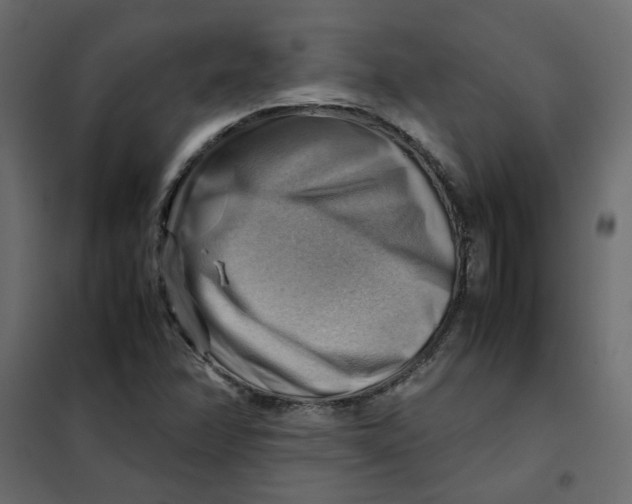 X0000102011358200808081714