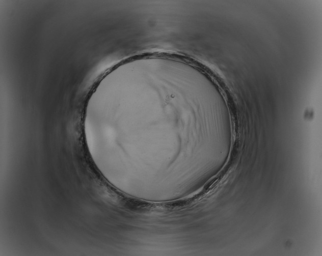 X0000102011359200808081714