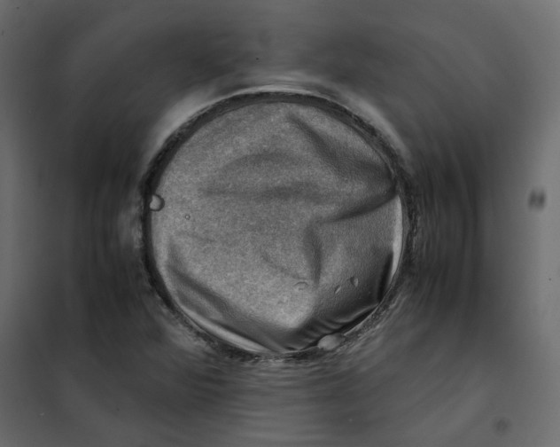 X0000102011360200808081714