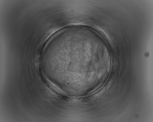 X0000102011361200808081714