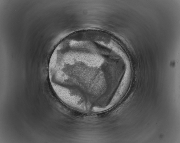 X0000102011363200808081714