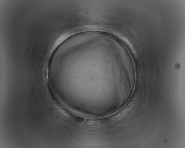 X0000102011365200808081714