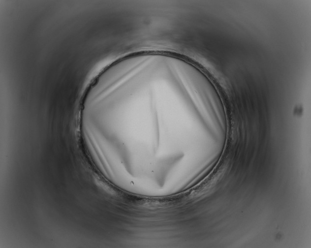 X0000102011366200808081714