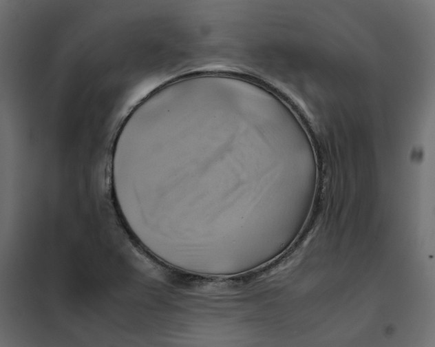 X0000102011367200808081714