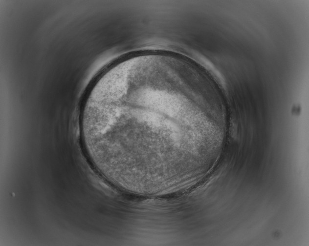 X0000102011368200808081714