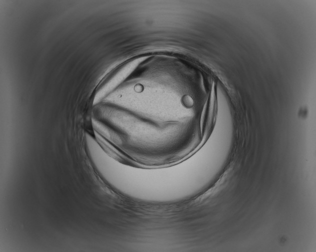 X0000102011369200808081714