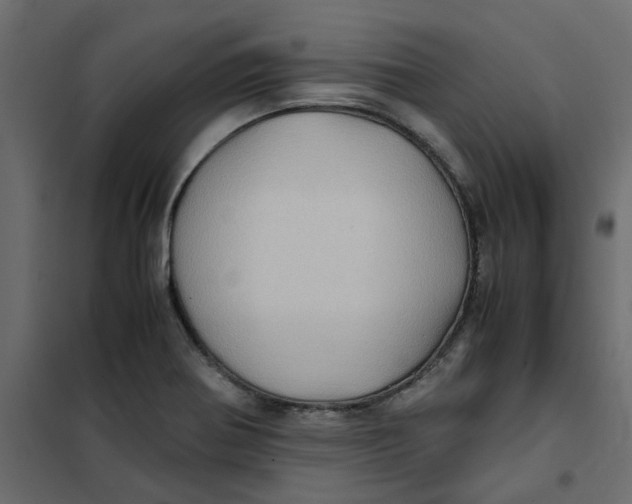 X0000102011370200808081714