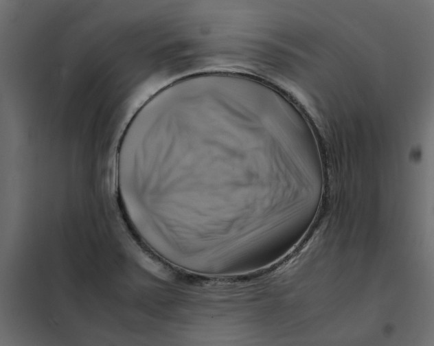 X0000102011371200808081714