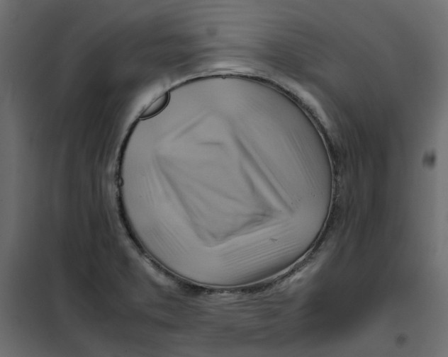 X0000102011373200808081714