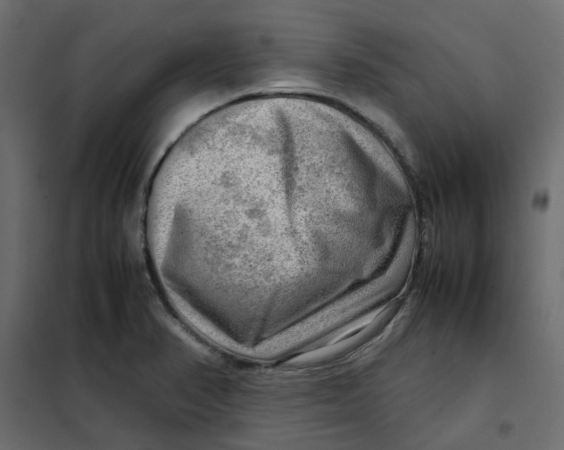 X0000102011374200808081714