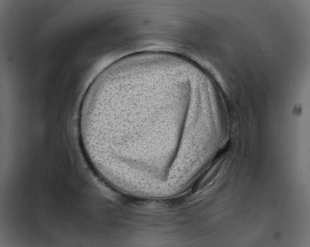 X0000102011375200808081714